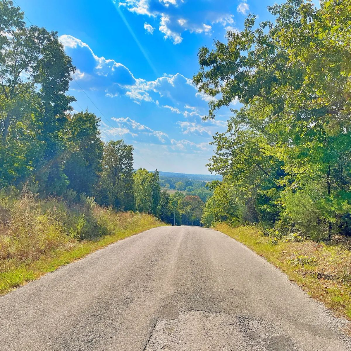 Peace of Mind Made Affordable – 0.41-Acre Wooded Lot One Block from Cedar Glade Lake - Image 4