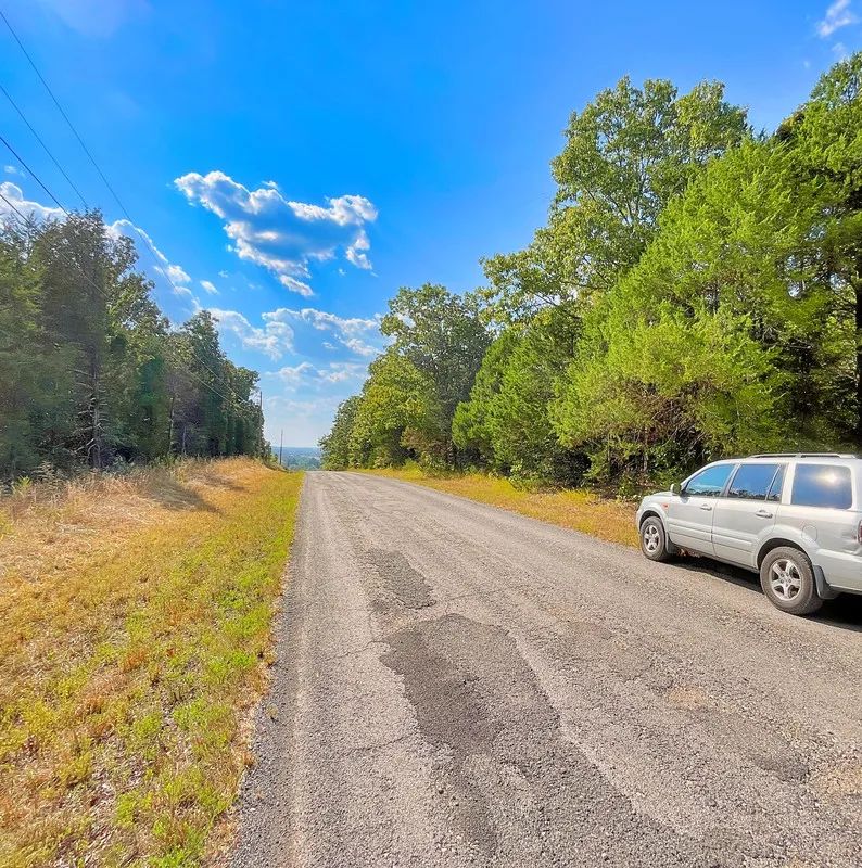 Decorative background for Peace of Mind Made Affordable – 0.41-Acre Wooded Lot One Block from Cedar Glade Lake image 6