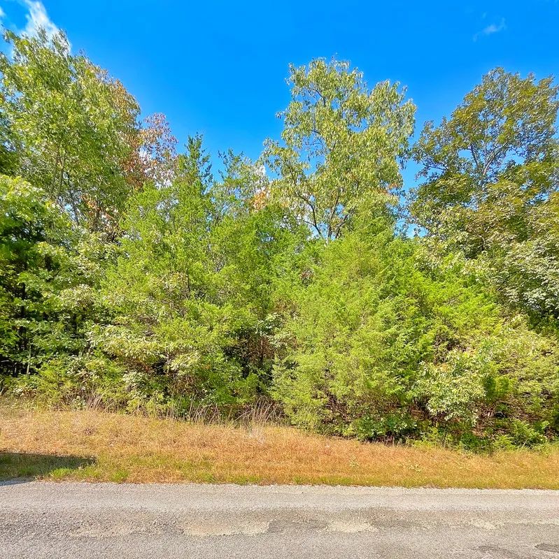 Decorative background for Peace of Mind Made Affordable – 0.41-Acre Wooded Lot One Block from Cedar Glade Lake image 7
