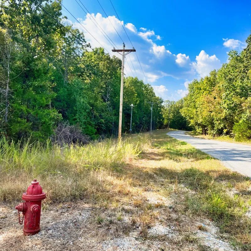 Decorative background for Peace of Mind Made Affordable – 0.41-Acre Wooded Lot One Block from Cedar Glade Lake image 8