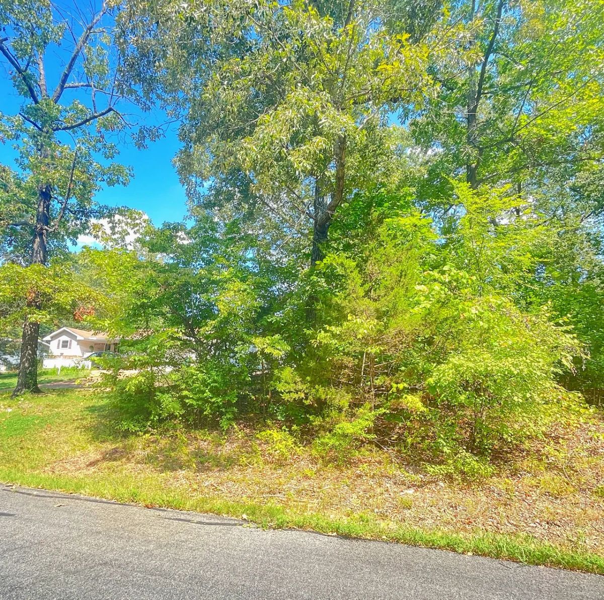Close to the Lake, Close to Town - Main image