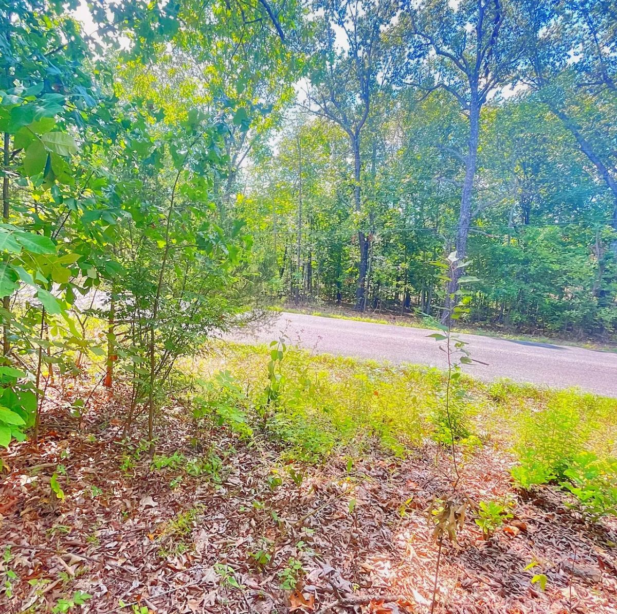 Close to the Lake, Close to Town - Image 2
