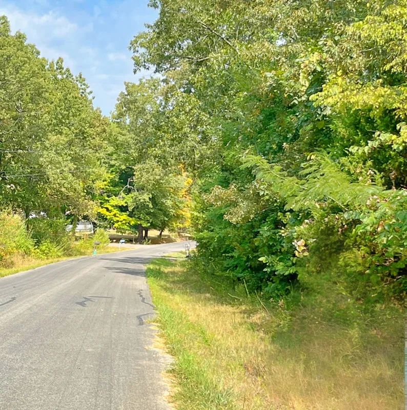 Close to the Lake, Close to Town - Image 3