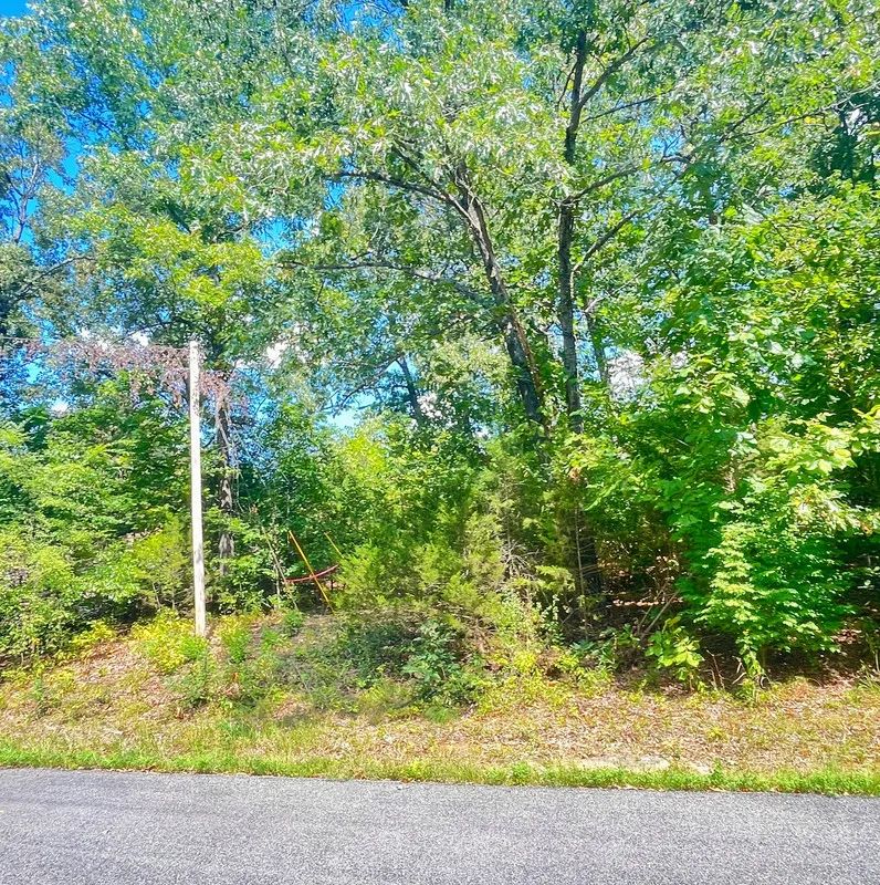 Decorative background for Close to the Lake, Close to Town image 7