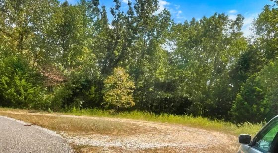 Luxury Meets Lake Life — Your Crown Lake Property Awaits in Izard County, AR