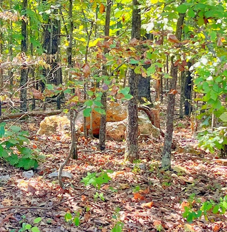 Decorative background for Luxury Meets Lake Life — Your Crown Lake Property Awaits image 6