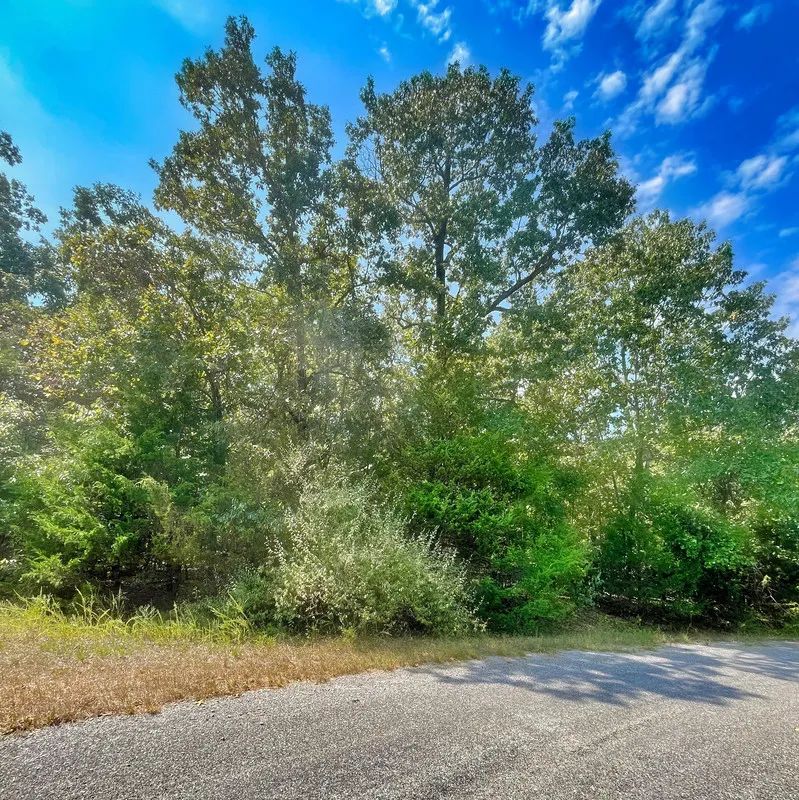 Decorative background for Luxury Meets Lake Life — Your Crown Lake Property Awaits image 8