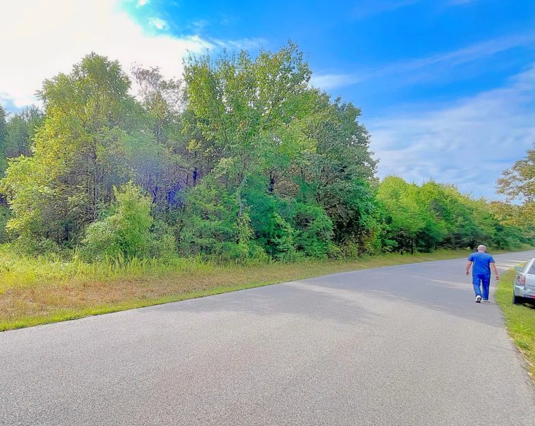 Over Half an Acre of Peace, Privacy, and Control in Izard County, AR