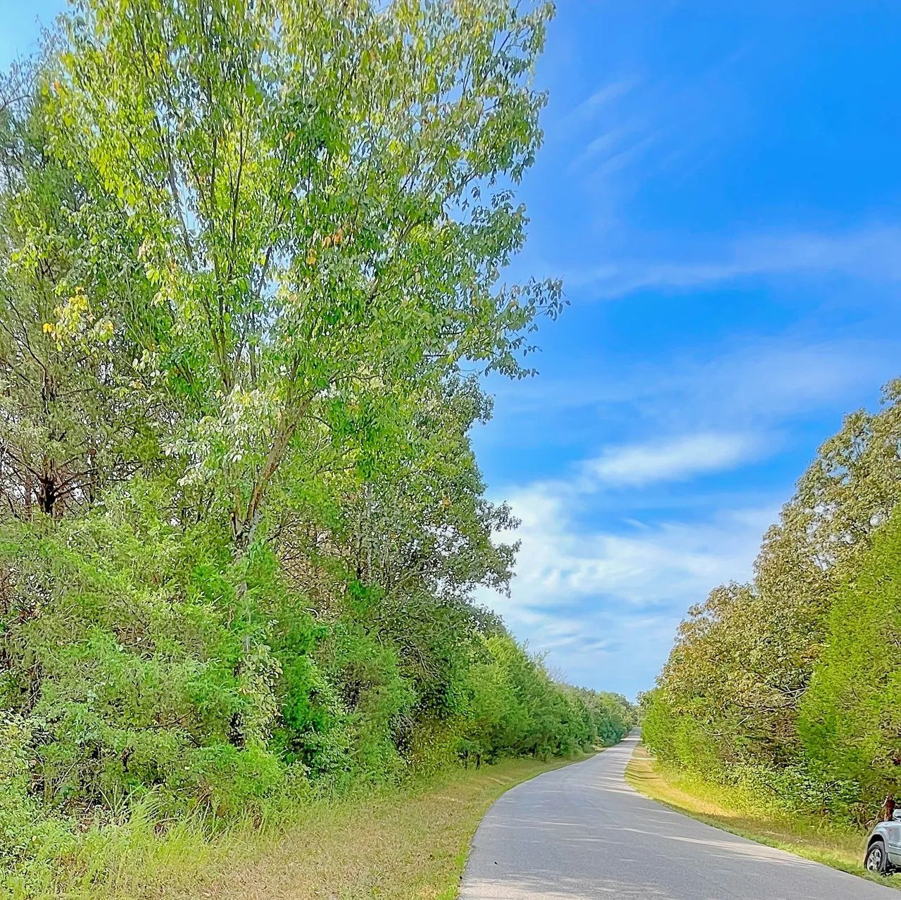 Over Half an Acre of Peace, Privacy, and Control in Izard County, AR