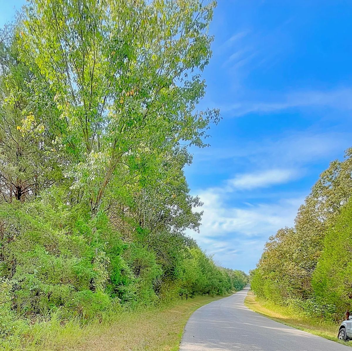 Over Half an Acre of Peace, Privacy, and Control - Image 2