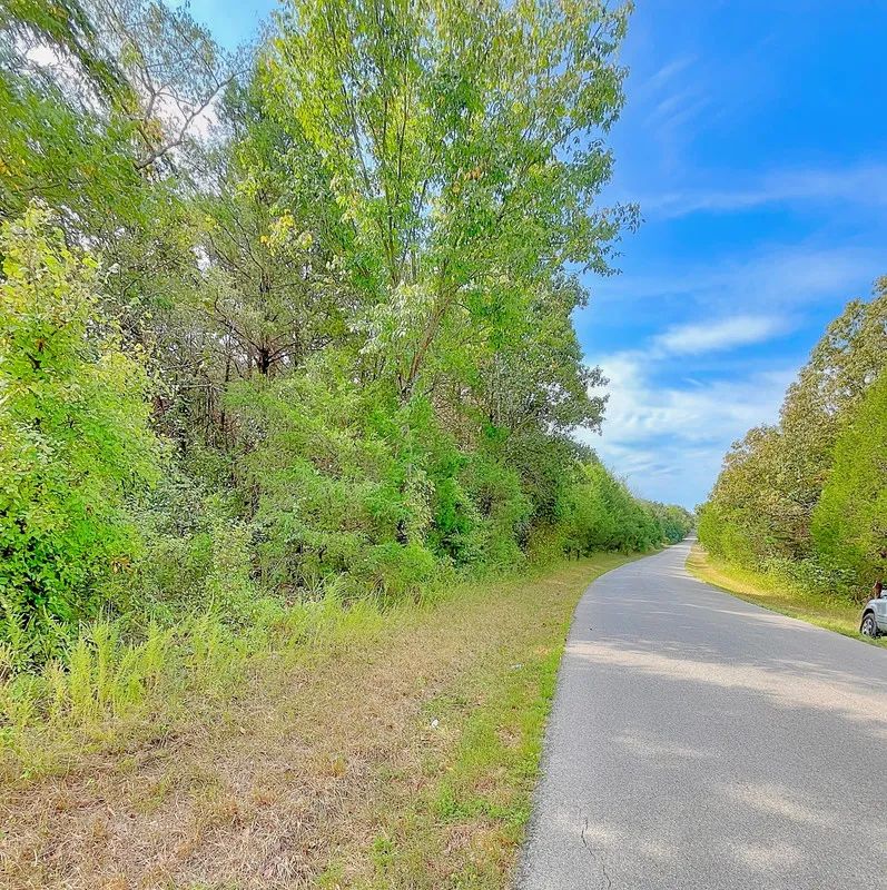 Decorative background for Over Half an Acre of Peace, Privacy, and Control image 6