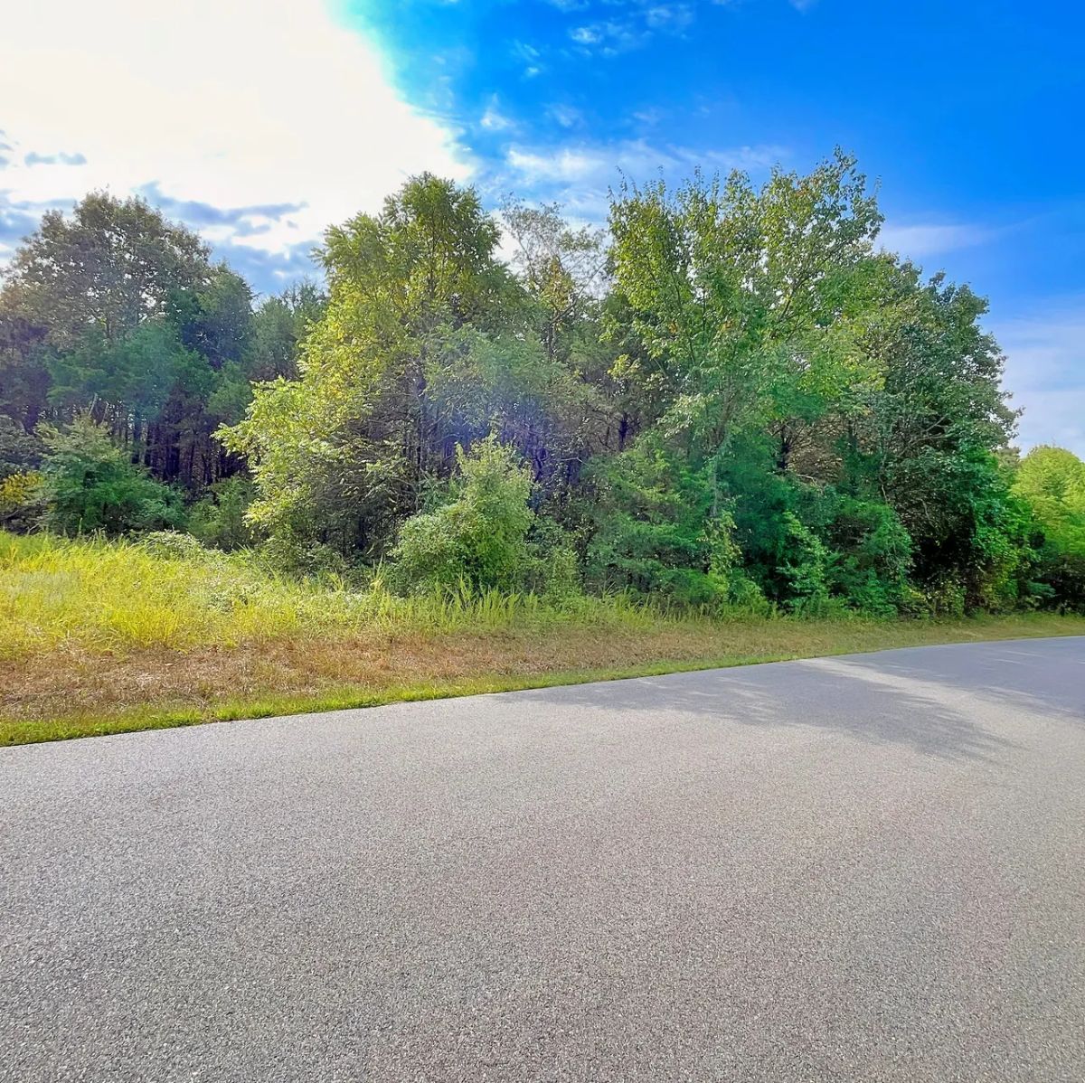 Decorative background for Over Half an Acre of Peace, Privacy, and Control image 7