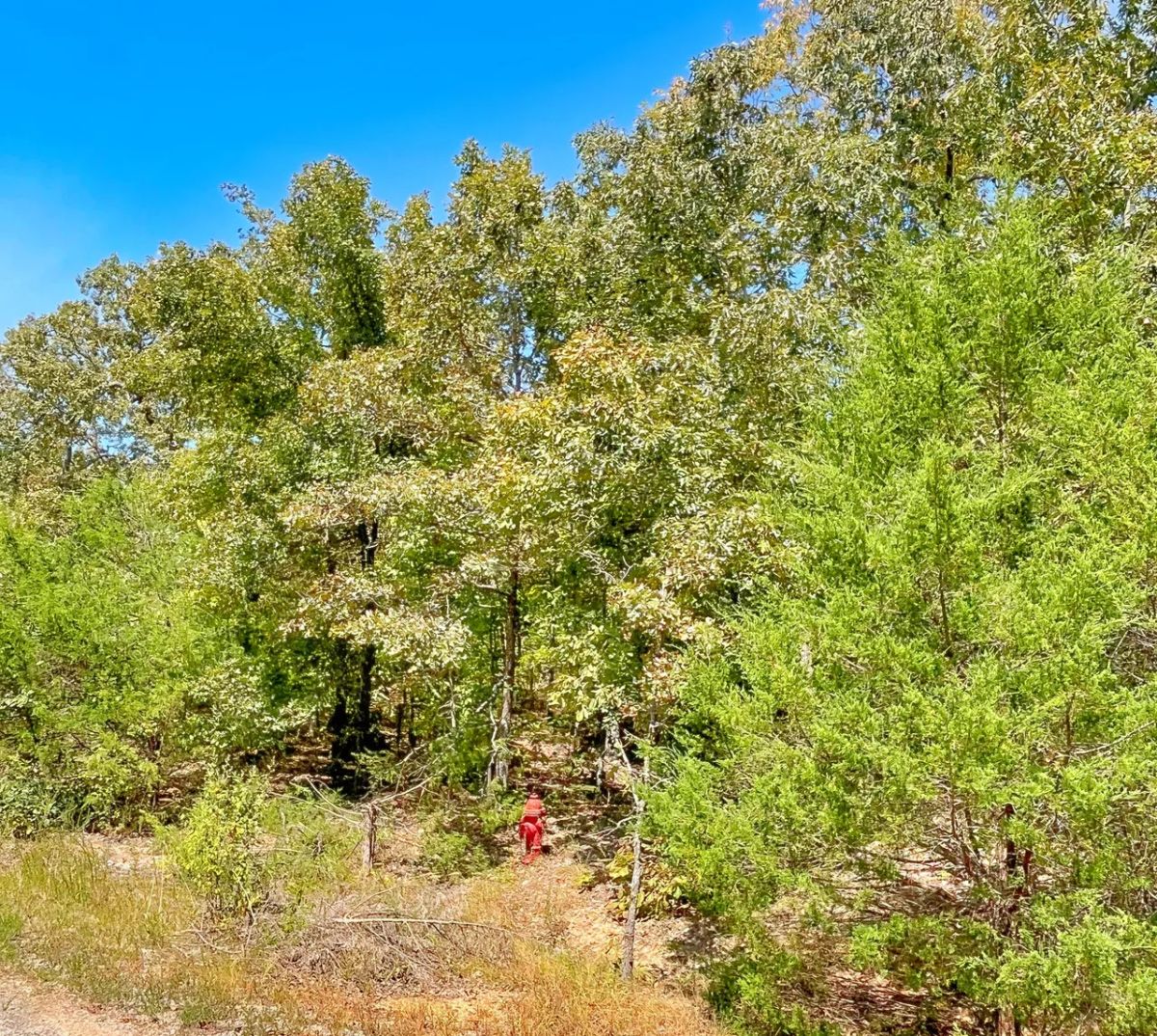 End-of-Cul-de-Sac Privacy — Up to 0.69 Acres - Image 2