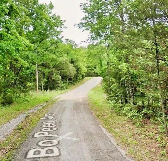 Decorative background for End-of-Cul-de-Sac Privacy — Up to 0.69 Acres image 7