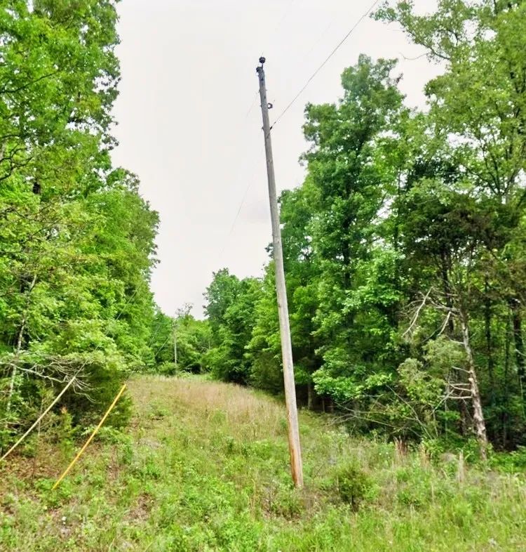 Decorative background for End-of-Cul-de-Sac Privacy — Up to 0.69 Acres image 8