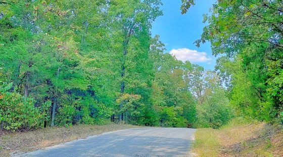 Where Adventure Meets Relaxation in Izard County, AR