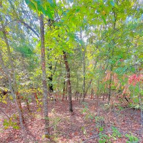 Where Adventure Meets Relaxation in Izard County, AR