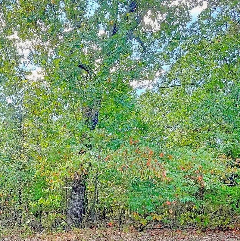 Decorative background for Where Adventure Meets Relaxation image 6