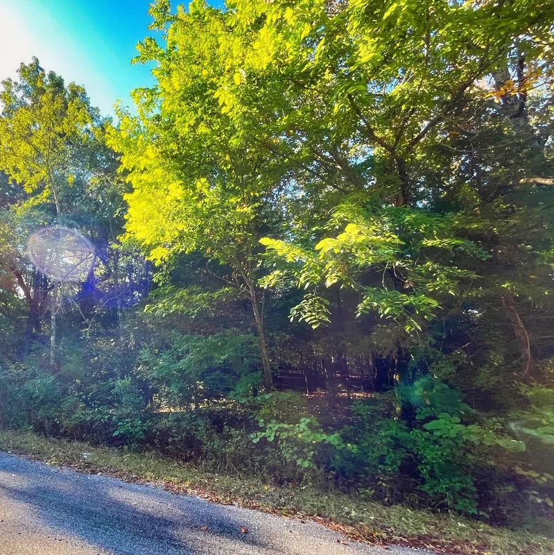 Decorative background for Lake-Country Getaway Walking Distance to Crown Lake Pier image 5