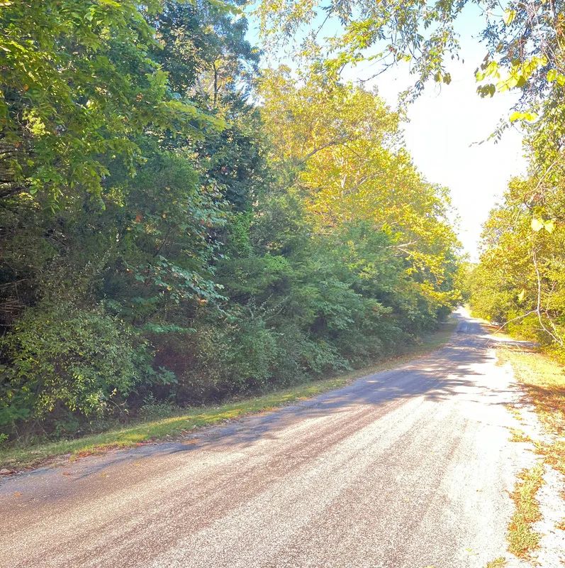 Decorative background for Lake-Country Getaway Walking Distance to Crown Lake Pier image 7