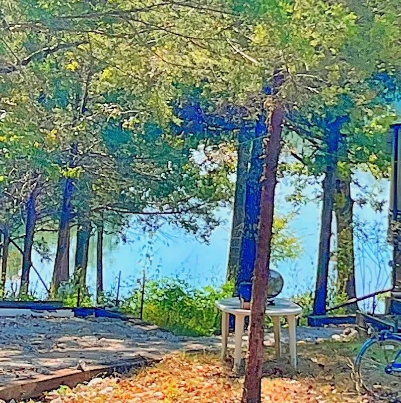 Decorative background for Wake Up to Lake Views Without the Lakefront Price image 5