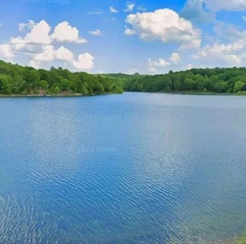 Decorative background for Wake Up to Lake Views Without the Lakefront Price image 8