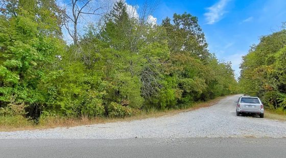Small-Town Simplicity Meets Everyday Convenience in Izard County, AR