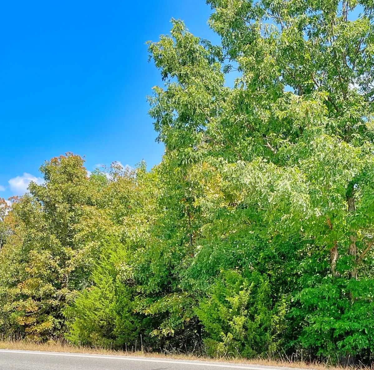 Peaceful Living Close to Everything You Need - Image 3