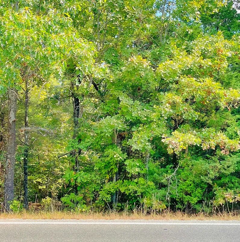 Decorative background for Peaceful Living Close to Everything You Need image 6