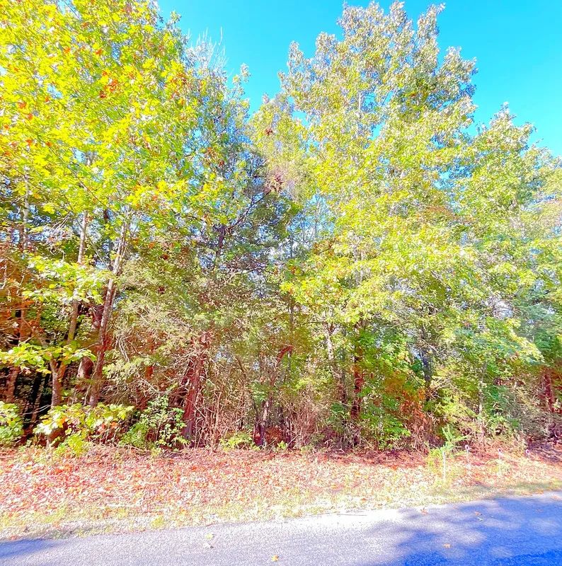 Decorative background for Surrounded By Crown Lake On 3 Sides image 7