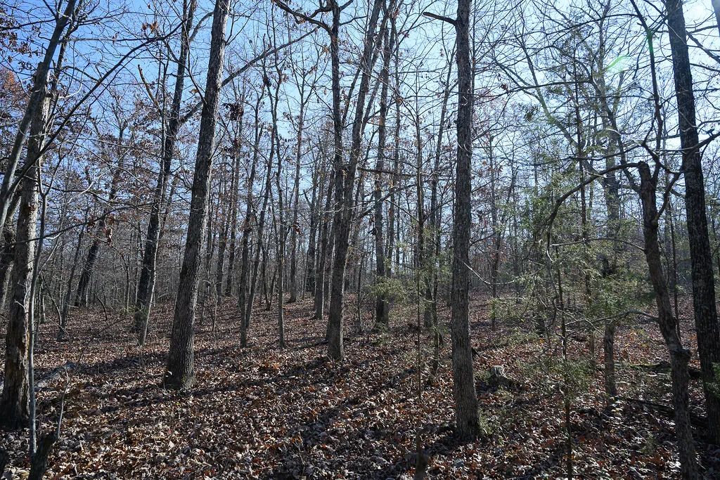 Spacious 0.44 Acres in Horseshoe Bend – Walk to Diamond Lake! - Image 4