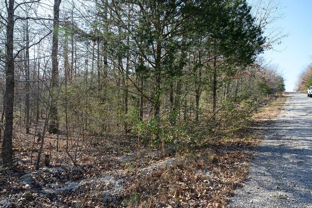Decorative background for Spacious 0.44 Acres in Horseshoe Bend – Walk to Diamond Lake! image 5