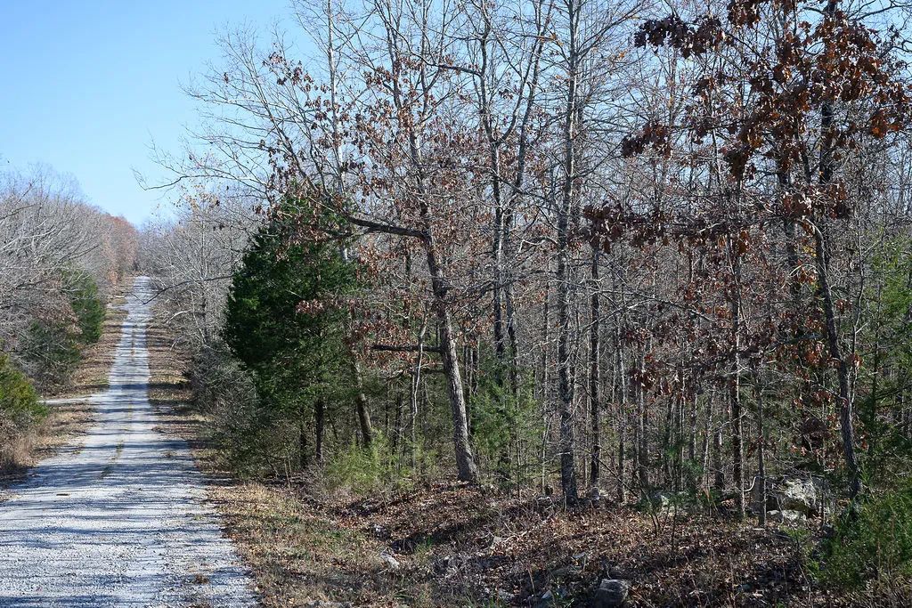 Decorative background for Spacious 0.44 Acres in Horseshoe Bend – Walk to Diamond Lake! image 6