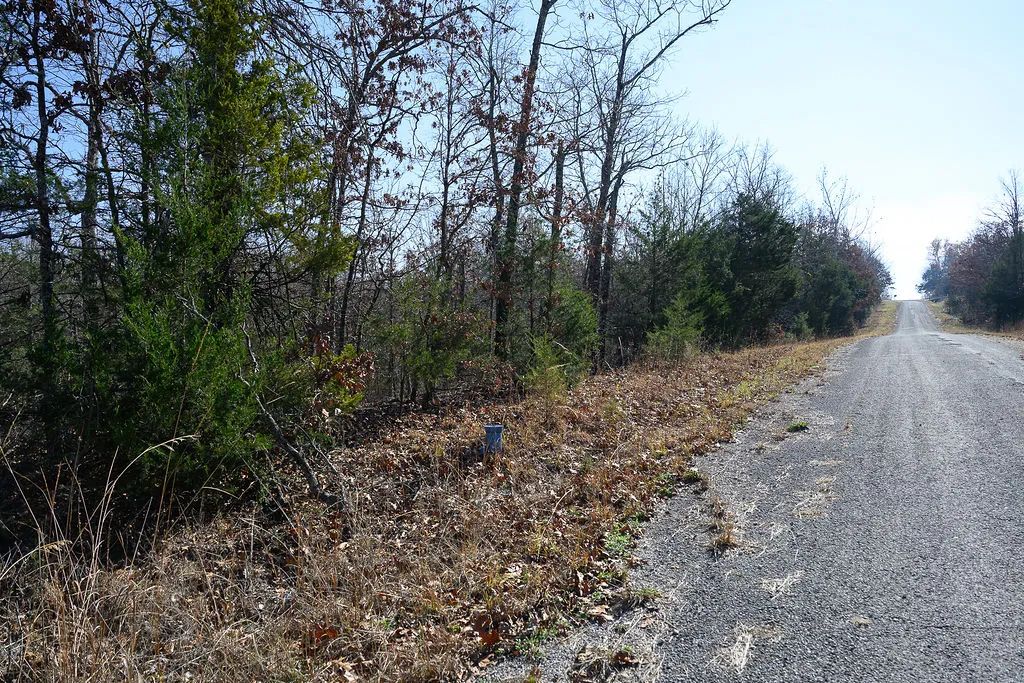 Decorative background for Spacious 0.44 Acres in Horseshoe Bend – Walk to Diamond Lake! image 7