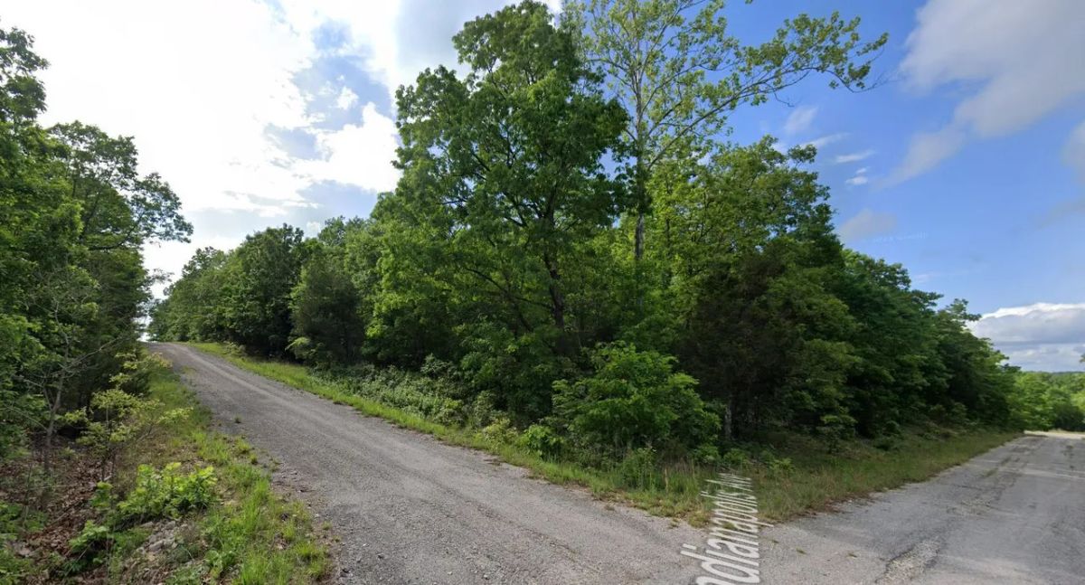 Decorative background for Spacious 0.44 Acres in Horseshoe Bend – Walk to Diamond Lake! image 8