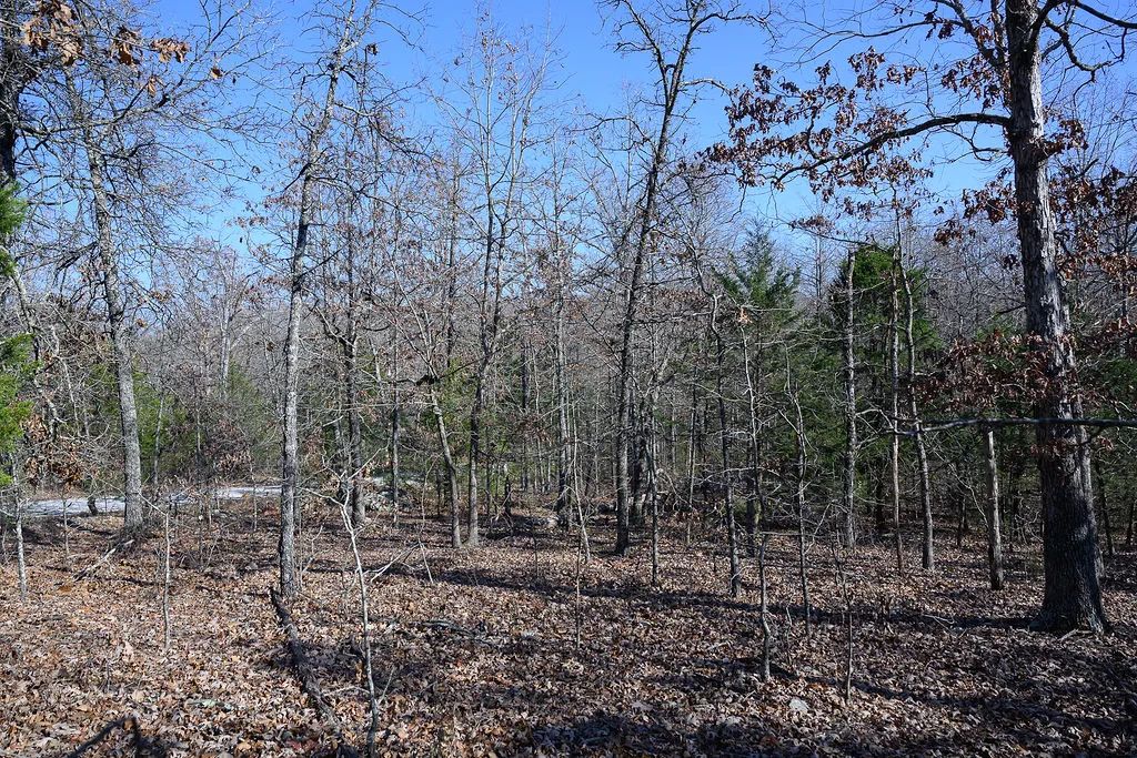 Decorative background for Spacious 0.44 Acres in Horseshoe Bend – Walk to Diamond Lake! image 9