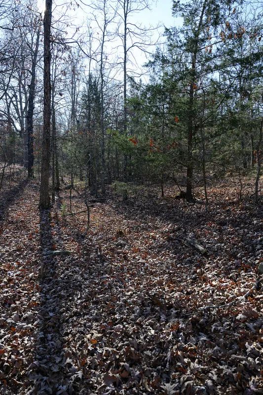 Decorative background for Spacious 0.44 Acres in Horseshoe Bend – Walk to Diamond Lake! image 10