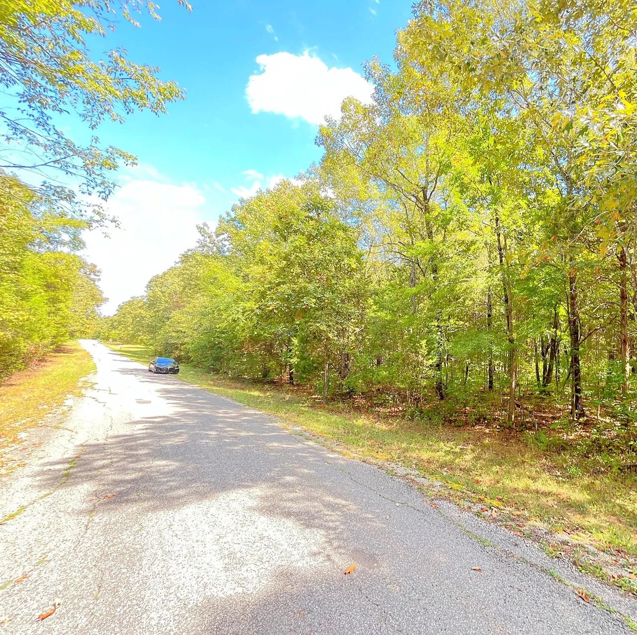 Build Your Land Portfolio with a Level, Wooded Lot Steps from Crown Lake
