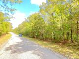 Build Your Land Portfolio with a Level, Wooded Lot Steps from Crown Lake