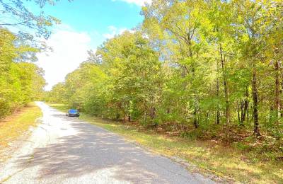 Build Your Land Portfolio with a Level, Wooded Lot Steps from Crown Lake