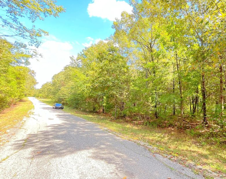 Build Your Land Portfolio with a Level, Wooded Lot Steps from Crown Lake in Izard County, AR