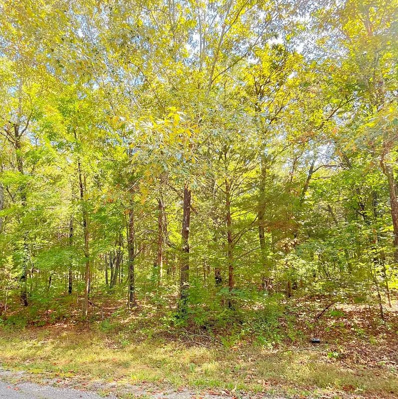 Build Your Land Portfolio with a Level, Wooded Lot Steps from Crown Lake - Image 2