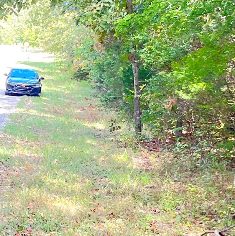 Decorative background for Build Your Land Portfolio with a Level, Wooded Lot Steps from Crown Lake image 7
