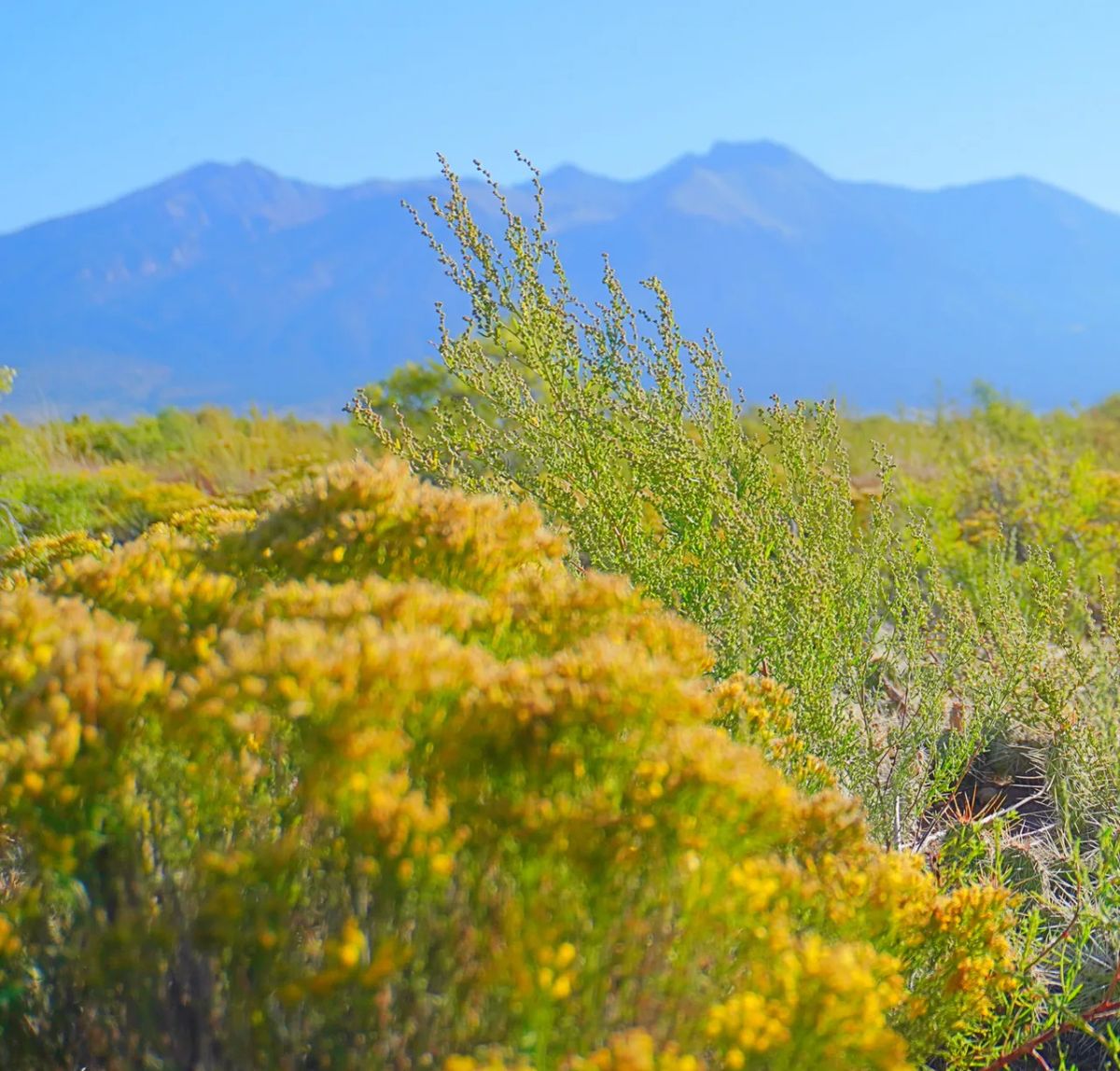 1.27 Acre Off-Grid Lot with Stunning Views – Peaceful Living in Alamosa, CO! - Main image