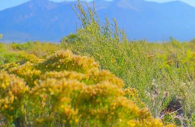 1.27 Acre Off-Grid Lot with Stunning Views – Peaceful Living in Alamosa, CO!