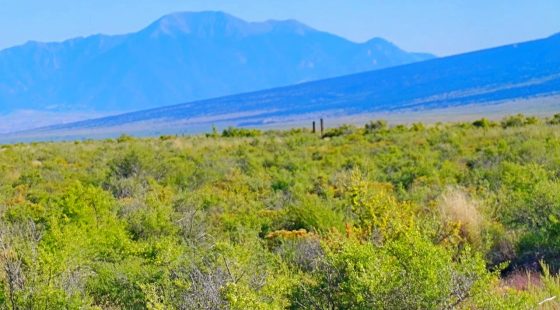 1.27 Acre Off-Grid Lot with Stunning Views – Peaceful Living in Alamosa, CO! in Alamosa County, CO
