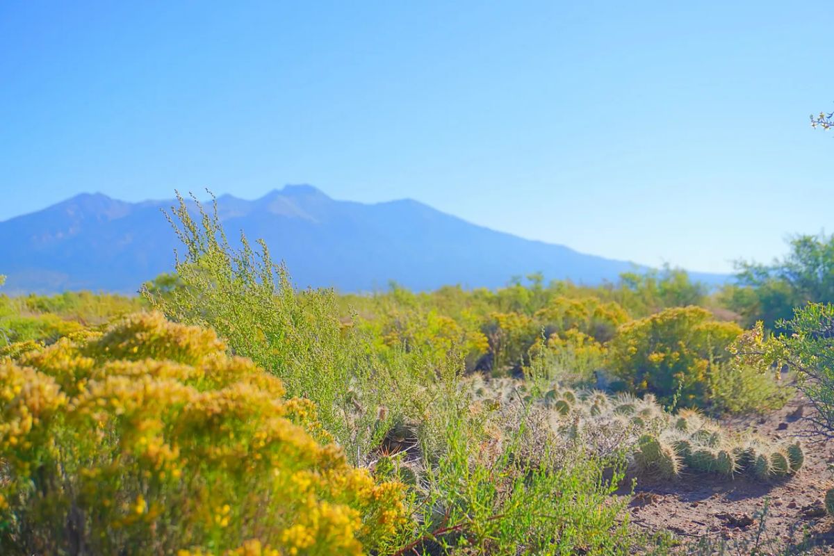 Decorative background for 1.27 Acre Off-Grid Lot with Stunning Views – Peaceful Living in Alamosa, CO! image 6