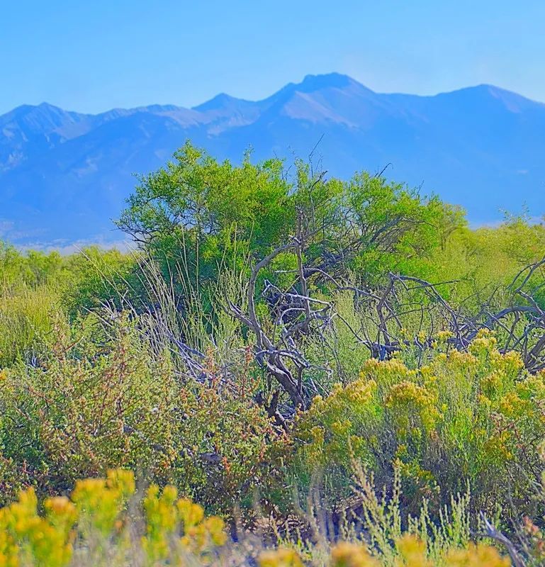 Decorative background for 1.27 Acre Off-Grid Lot with Stunning Views – Peaceful Living in Alamosa, CO! image 8