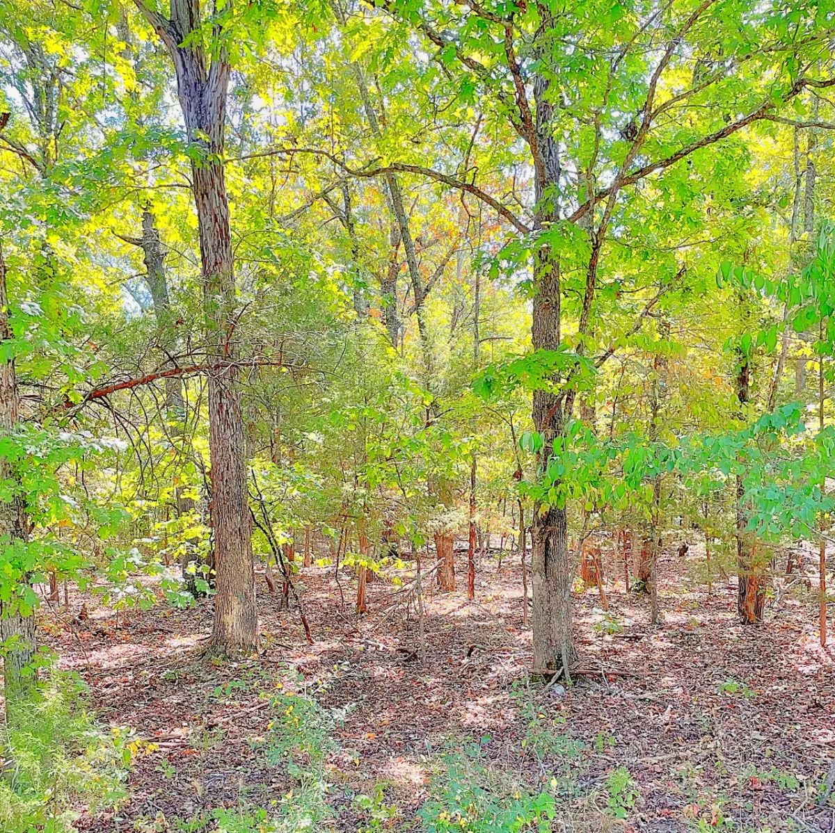 Land for the Life You Love Outdoors - Image 3