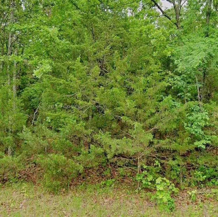 Decorative background for Land for the Life You Love Outdoors image 7